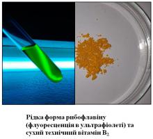 Рідка форма рибофлавіну (флуоресценція в ультрафіолеті) та сухий технічний вітамін В2